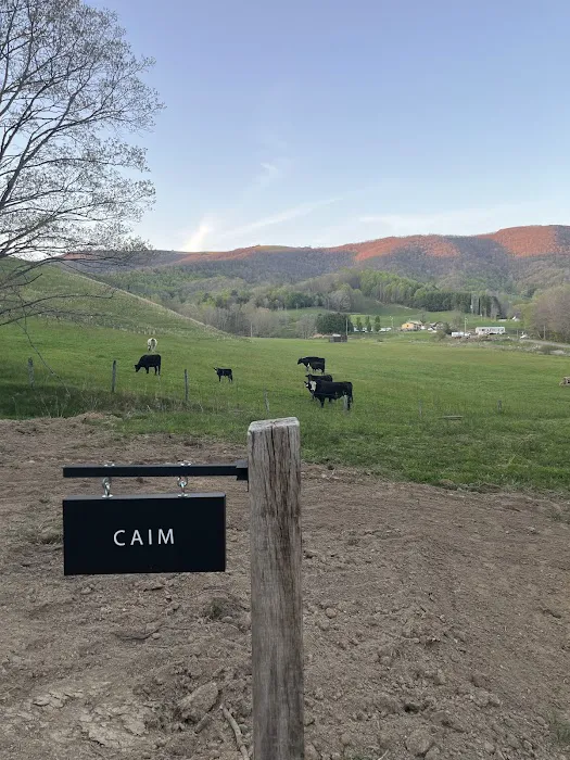 Glamping Wild 8