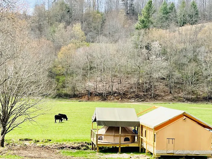 Into the Wild Retreat 0