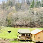 Into the Wild Retreat