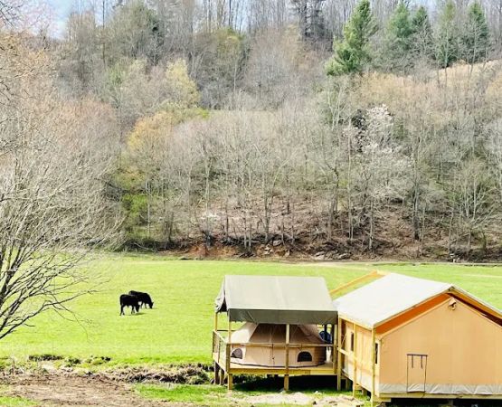 Into the Wild Retreat