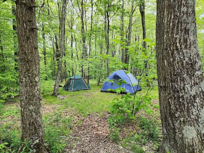 Chestnut Hollow Campground 4