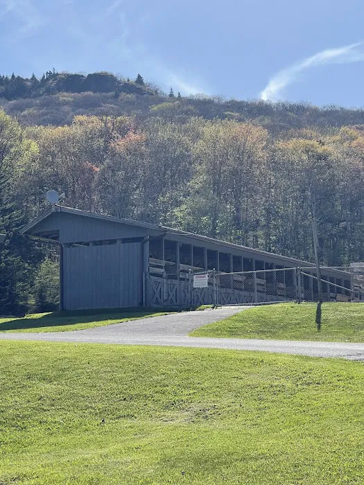 Chestnut Hollow Campground 0
