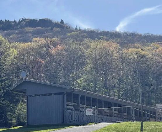Chestnut Hollow Campground