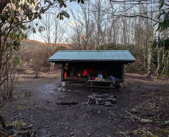 Wise Shelter