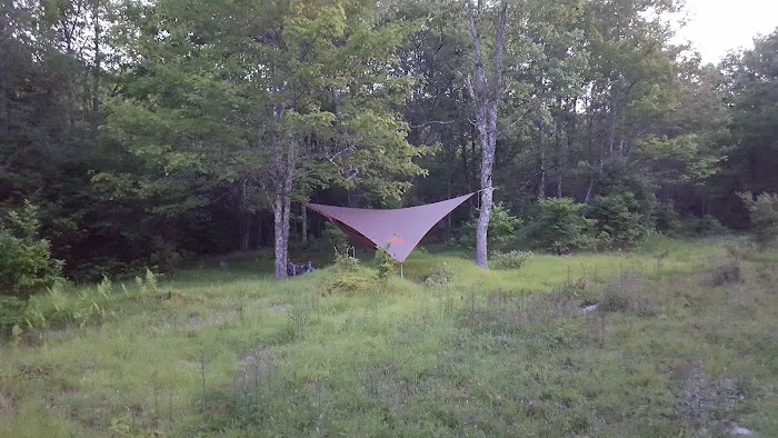 Wise Shelter 6