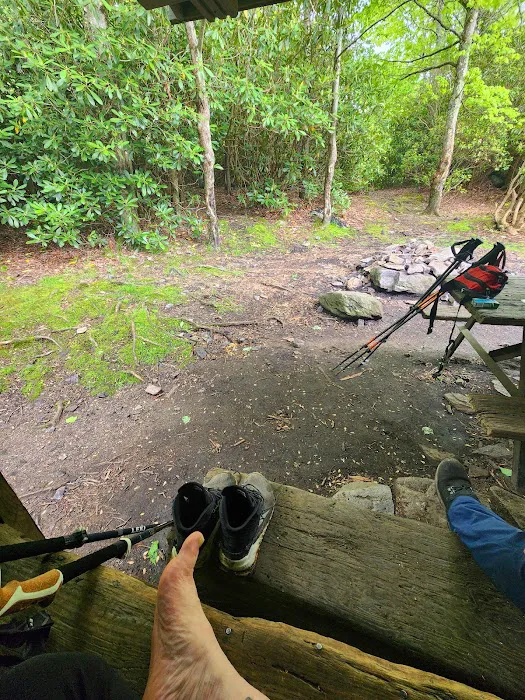 Wise Shelter 8