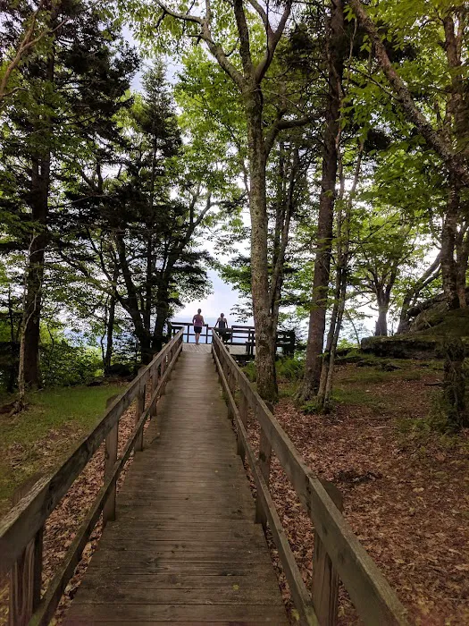 Grayson Highlands Campground 5