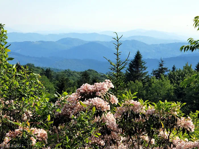 Grayson Highlands Campground 2