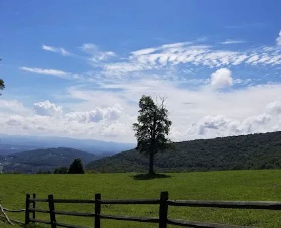 Grayson Highlands Campground