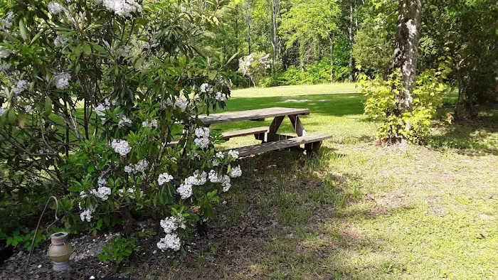 Doe River Campground 4