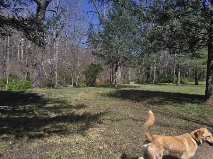 Doe River Campground 3