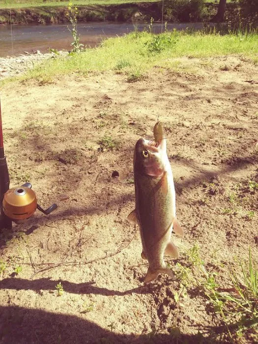 Doe River Campground 6
