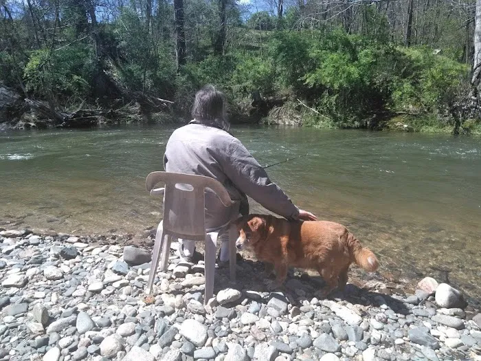 Doe River Campground 9
