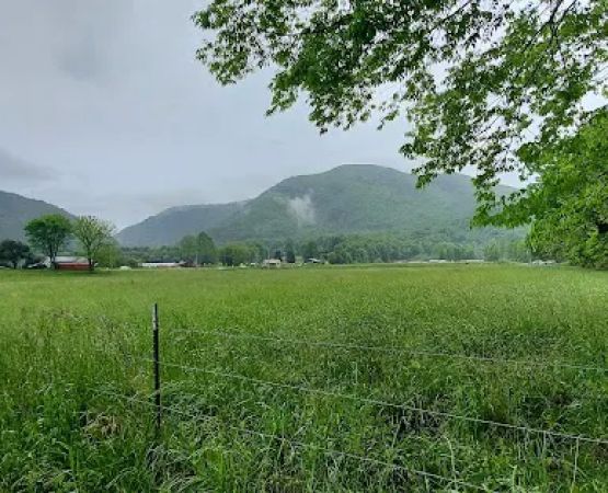 River valley RV park and campground