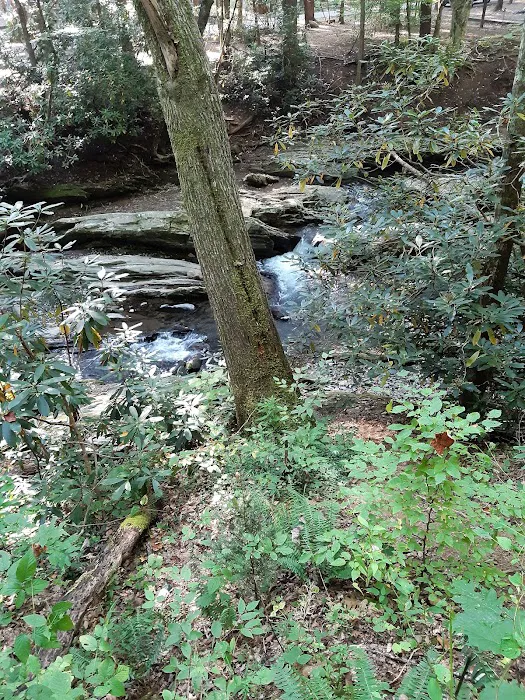 Roan Mountain State Park Check-in Station 7