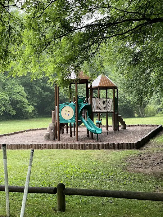 Roan Mountain State Park Campground 0