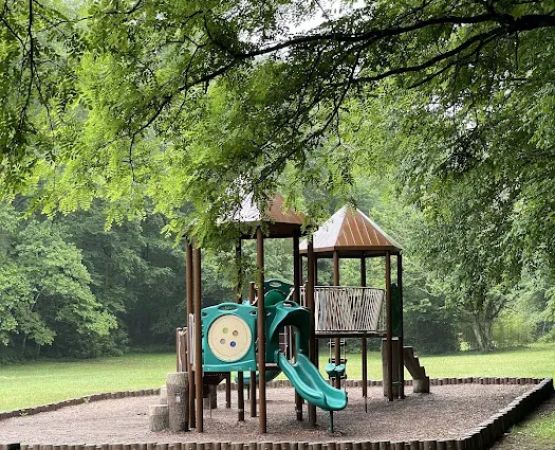 Roan Mountain State Park Campground