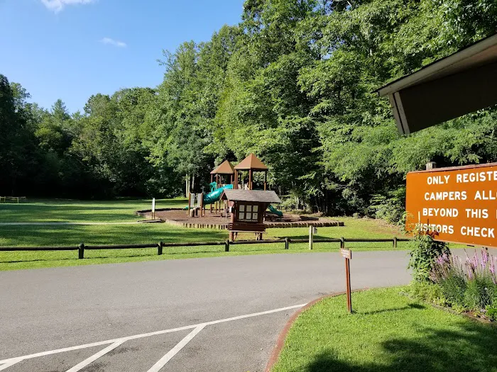 Roan Mountain State Park Campground 9