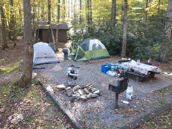 Roan Mountain State Park Campground 7