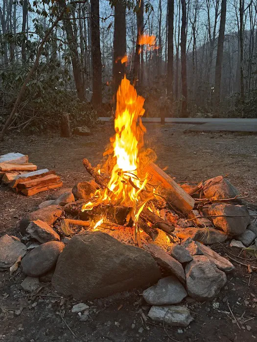Roan Mountain State Park Campground 8