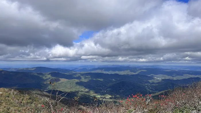 Roan Mountain State Park Campground 4