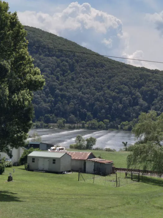 Larry's Landing Campground 6