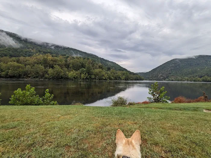 Larry's Landing Campground 7
