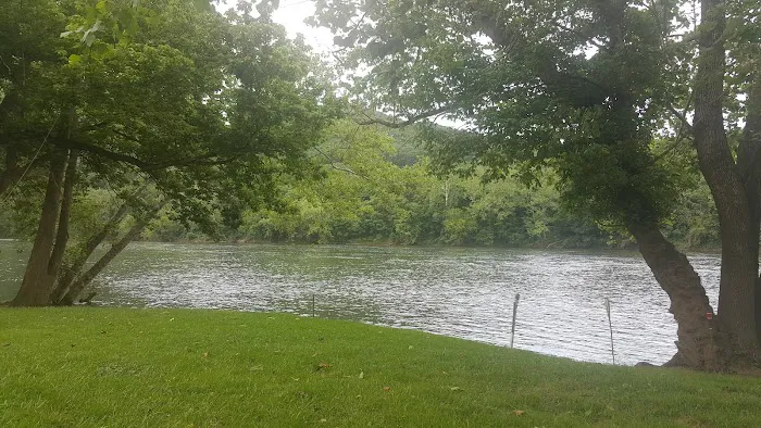 Larry's Landing Campground 9