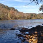 Gentrys Landing Campsite