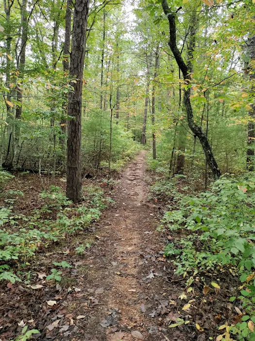 Boley Field Group Campground 8