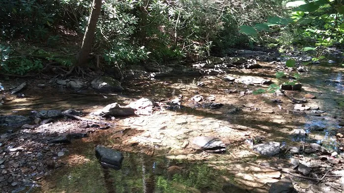 Boley Field Group Campground 4