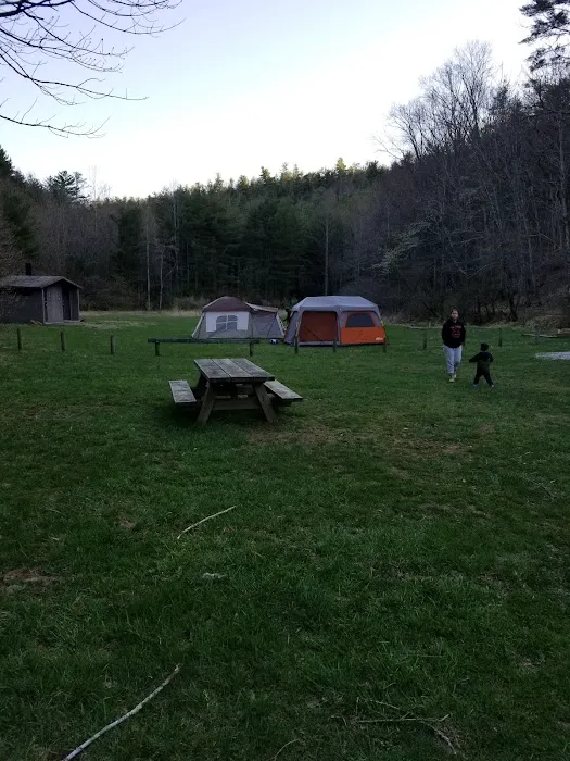 Boley Field Group Campground 1