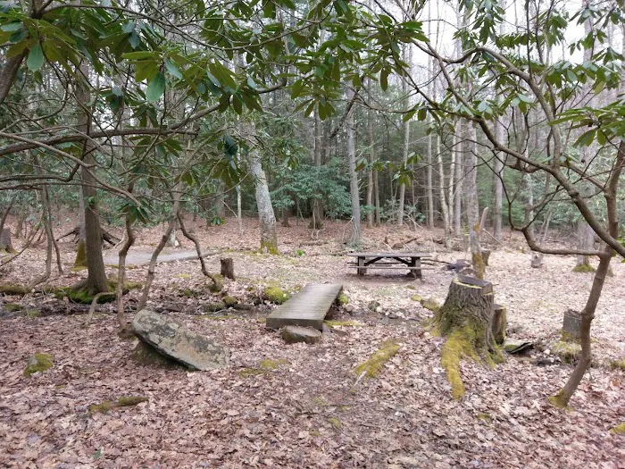 White Rocks Campground 8