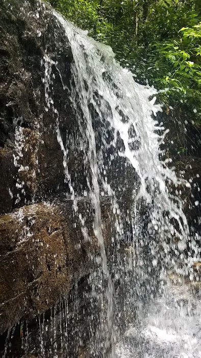 Walnut Flats Campground 1