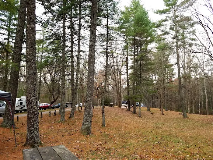 Walnut Flats Campground 3