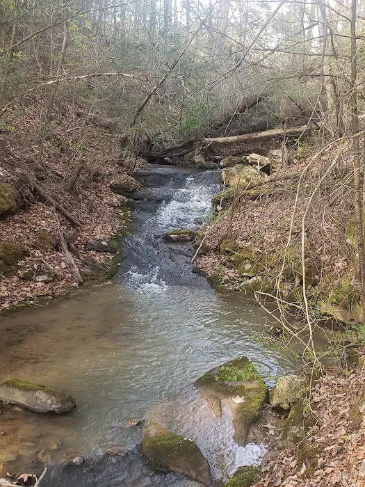 Beech Bottom Camping Area 2