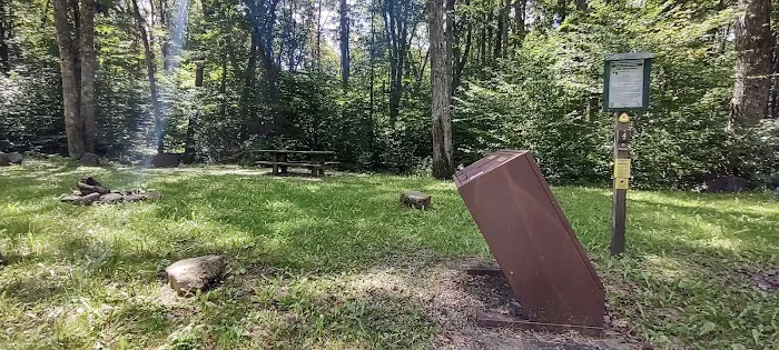 Williams River Campsite 5 1