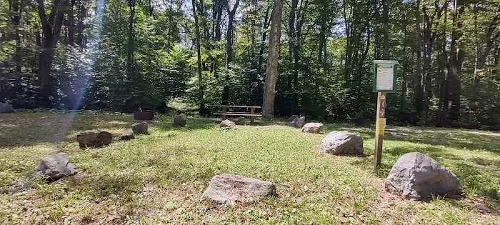 Williams River Campsite 5 0