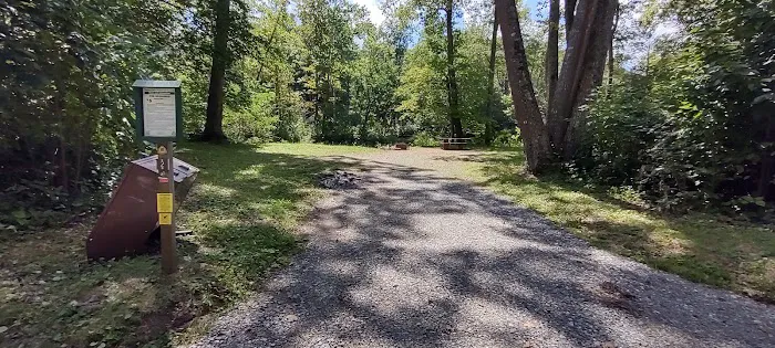 Williams River Campsite 2 0