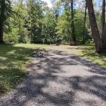 Williams River Campsite 2