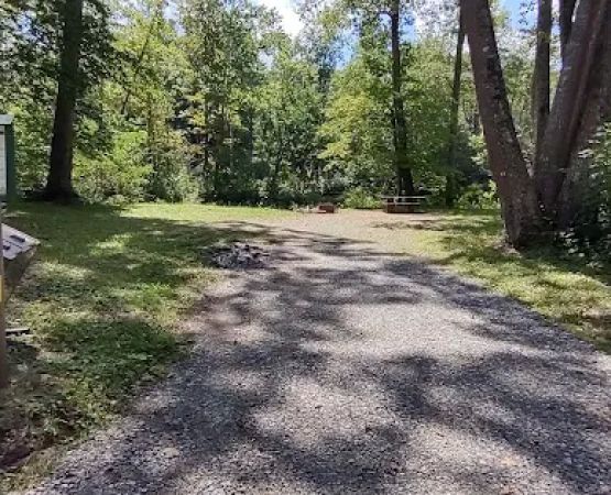 Williams River Campsite 2