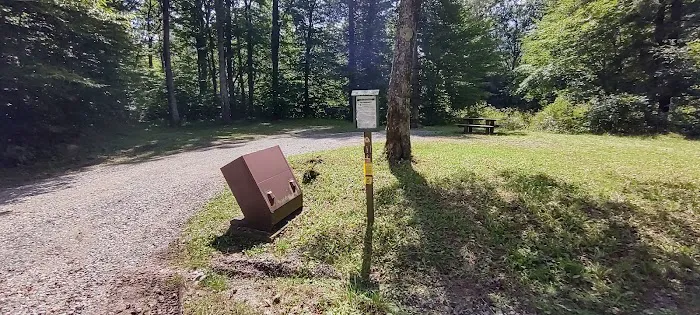 Williams River Campsite 1 0