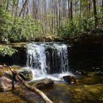 Cranberry Campground