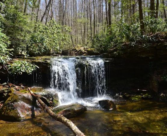 Cranberry Campground