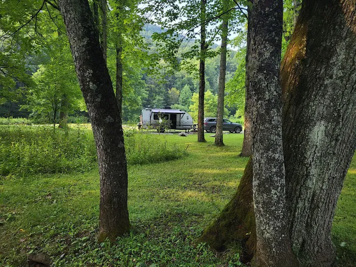 Cranberry Campground 7