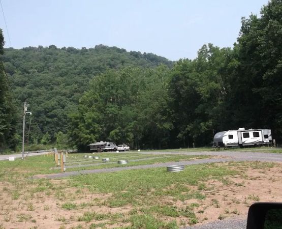 Camp Floppy Fish