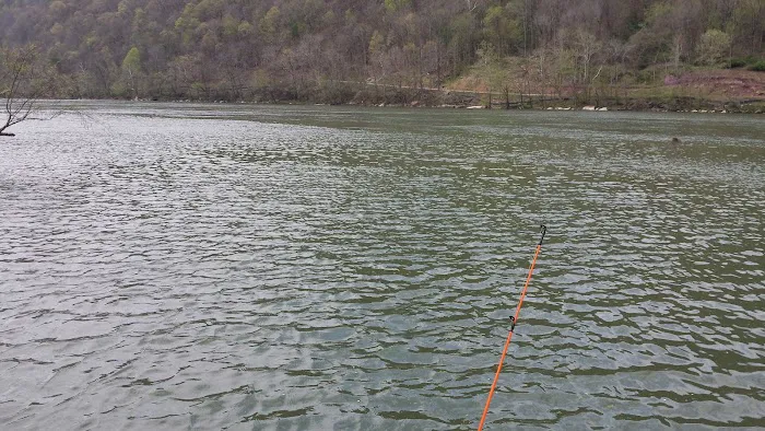 Bass Lake Park 5