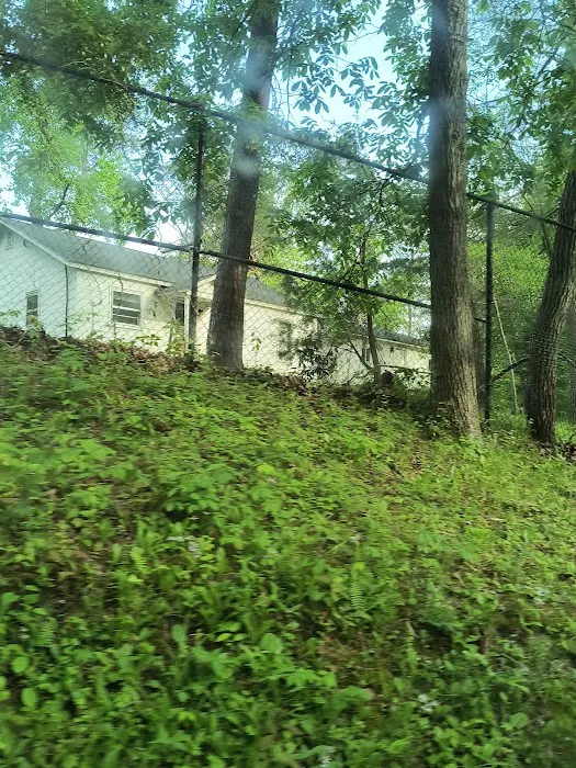 Camp Brookside 7
