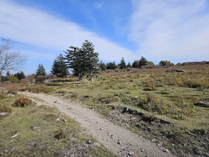 Fox Creek Horse Camp 1