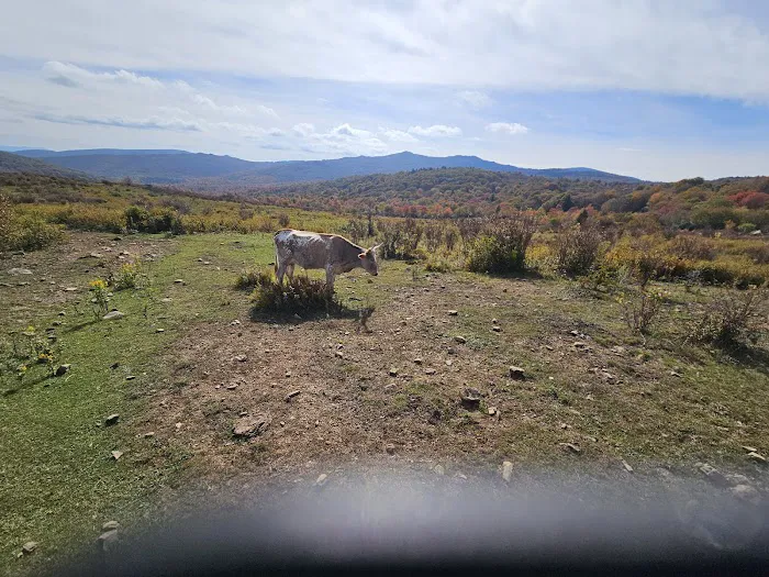 Fox Creek Horse Camp 0